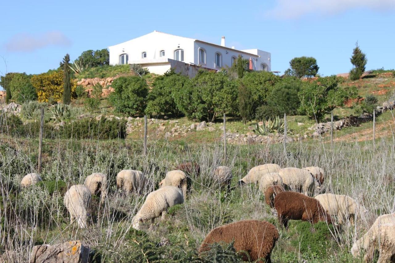וילה דו ביספו Casa Das Furnas - Eco Home מראה חיצוני תמונה